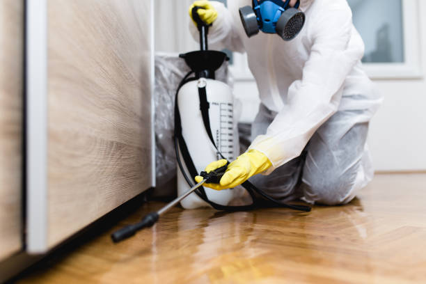 Best Mosquito Control Services  in Trinidad, CO