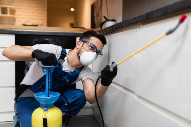 Best Residential Pest Control  in Trinidad, CO