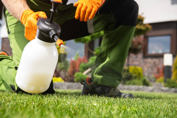 Trinidad, CO Pest Control Company