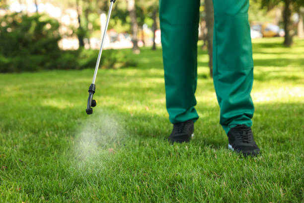 Best Pest Prevention Services  in Trinidad, CO