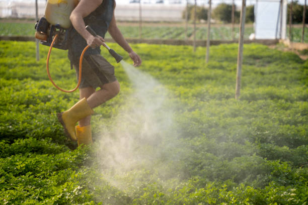 Best Insect Control  in Trinidad, CO