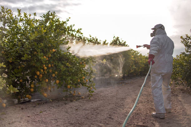 Best Affordable Pest Control Services  in Trinidad, CO