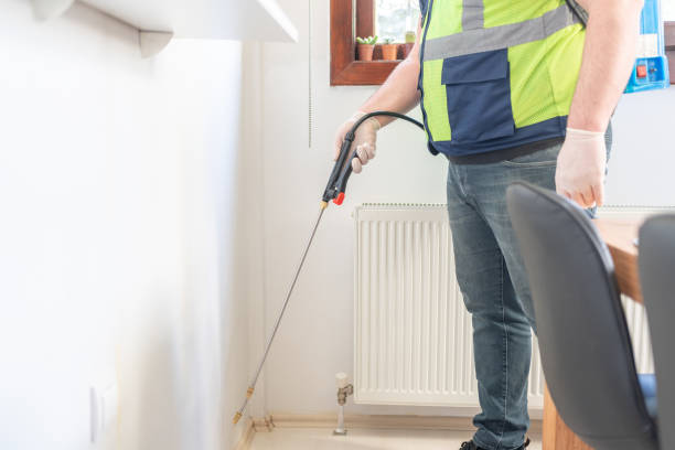 Best Wasp Removal Services  in Trinidad, CO