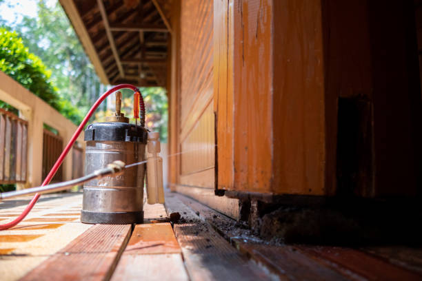 Best Cockroach Control Services  in Trinidad, CO