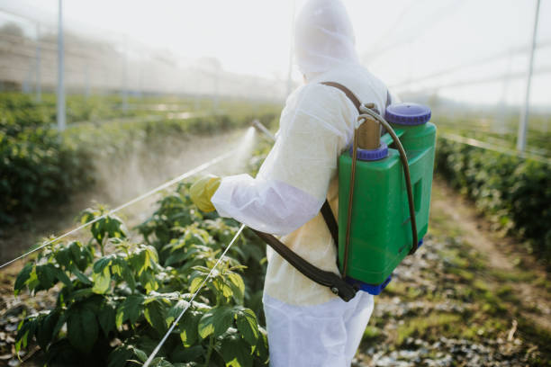 Best Flea Control Services  in Trinidad, CO